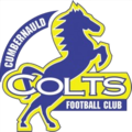 Cumbernauld Colts