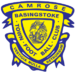 Basingstoke Town
